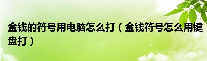 金钱的符号用电脑怎么打（金钱符号怎么用键盘打）