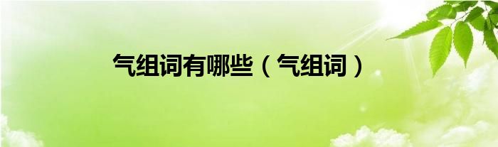 气组词有哪些（气组词）