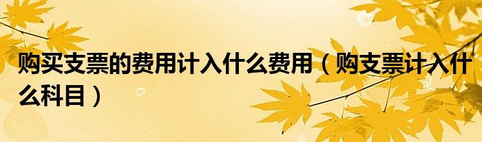 购买支票的费用计入什么费用（购支票计入什么科目）