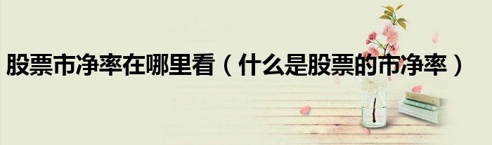 股票市净率在哪里看（什么是股票的市净率）