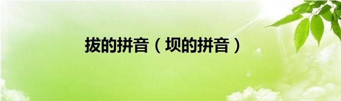 拔的拼音（坝的拼音）