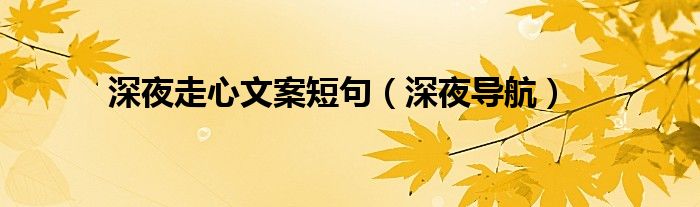 深夜走心文案短句（深夜导航）