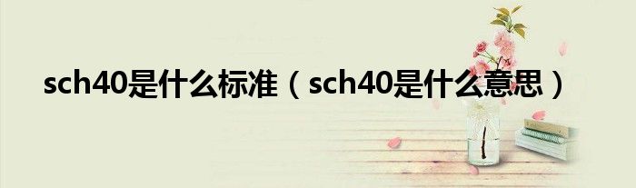 sch40是什么标准（sch40是什么意思）