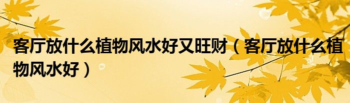 客厅放什么植物风水好又旺财（客厅放什么植物风水好）