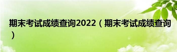 期末考试成绩查询2022（期末考试成绩查询）