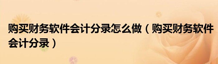 购买财务软件会计分录怎么做（购买财务软件会计分录）