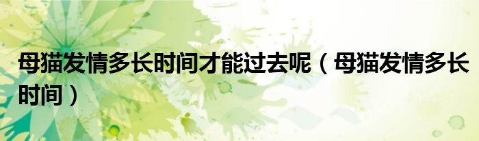 母猫发情多长时间才能过去呢（母猫发情多长时间）