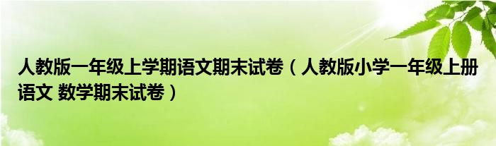 人教版一年级上学期语文期末试卷（人教版小学一年级上册语文 数学期末试卷）