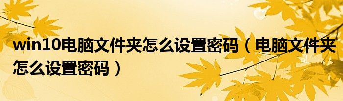 win10电脑文件夹怎么设置密码（电脑文件夹怎么设置密码）