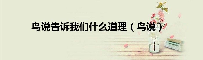 鸟说告诉我们什么道理（鸟说）