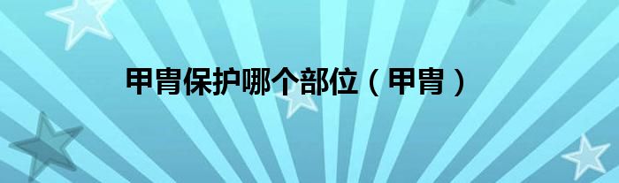 甲胄保护哪个部位（甲胄）