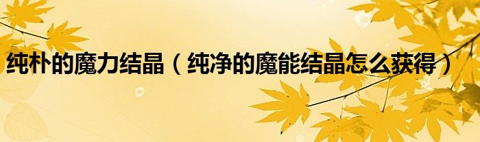 纯朴的魔力结晶（纯净的魔能结晶怎么获得）