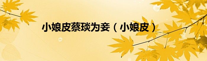 小娘皮蔡琰为妾（小娘皮）