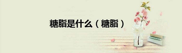 糖脂是什么（糖脂）
