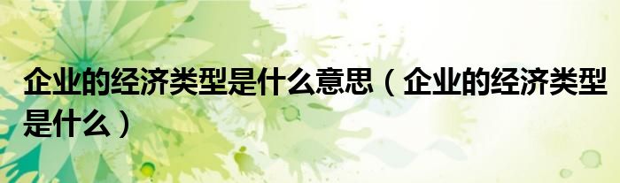 企业的经济类型是什么意思（企业的经济类型是什么）