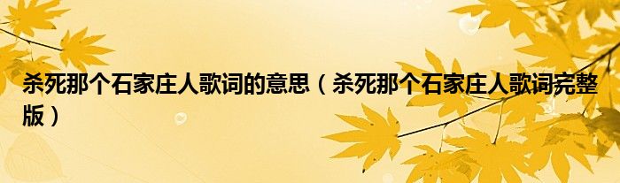 杀死那个石家庄人歌词的意思（杀死那个石家庄人歌词完整版）