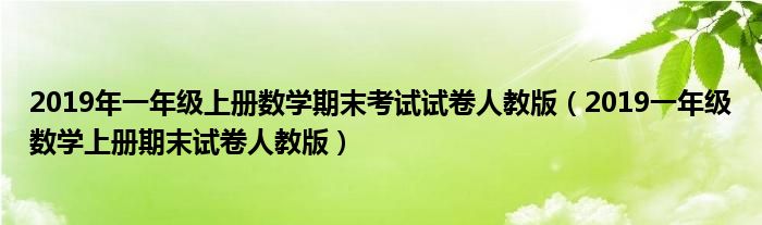 2019年一年级上册数学期末考试试卷人教版（2019一年级数学上册期末试卷人教版）