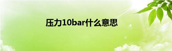 压力10bar什么意思