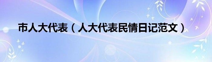巿人大代表（人大代表民情日记范文）