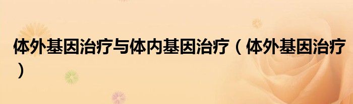 体外基因治疗与体内基因治疗（体外基因治疗）