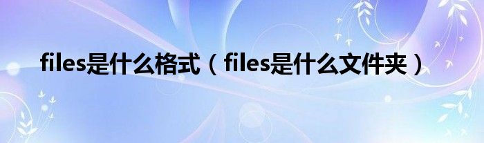 files是什么格式（files是什么文件夹）