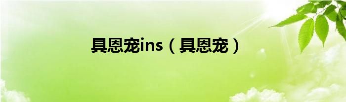 具恩宠ins（具恩宠）