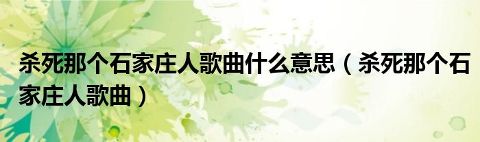 杀死那个石家庄人歌曲什么意思（杀死那个石家庄人歌曲）