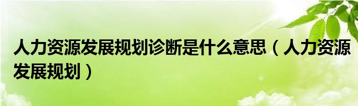 人力资源发展规划诊断是什么意思（人力资源发展规划）