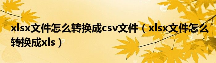 xlsx文件怎么转换成csv文件（xlsx文件怎么转换成xls）
