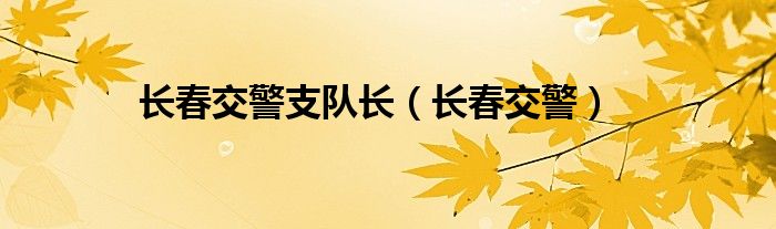 长春交警支队长（长春交警）