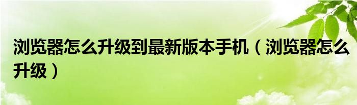 浏览器怎么升级到最新版本手机（浏览器怎么升级）