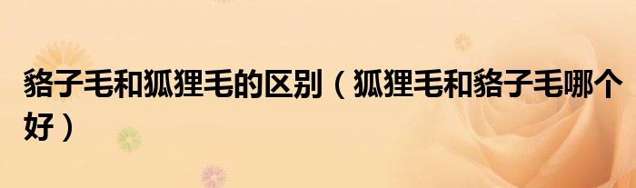 貉子毛和狐狸毛的区别（狐狸毛和貉子毛哪个好）