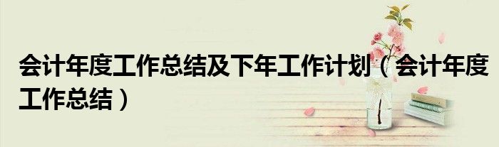 会计年度工作总结及下年工作计划（会计年度工作总结）