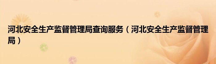河北安全生产监督管理局查询服务（河北安全生产监督管理局）