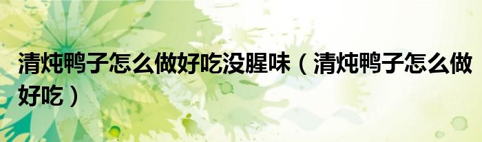 清炖鸭子怎么做好吃没腥味（清炖鸭子怎么做好吃）