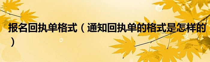 报名回执单格式（通知回执单的格式是怎样的）