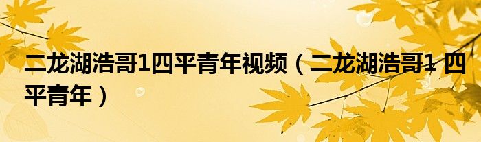二龙湖浩哥1四平青年视频（二龙湖浩哥1 四平青年）