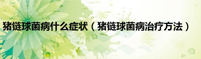 猪链球菌病什么症状（猪链球菌病治疗方法）