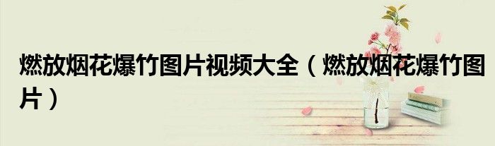 燃放烟花爆竹图片视频大全（燃放烟花爆竹图片）