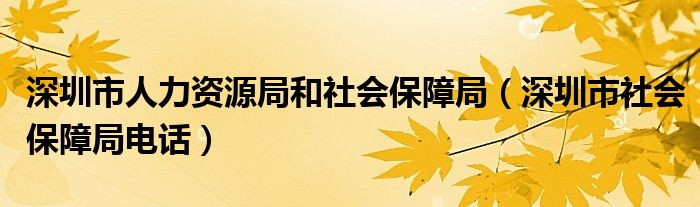 深圳市人力资源局和社会保障局（深圳市社会保障局电话）