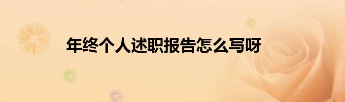 年终个人述职报告怎么写呀