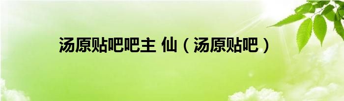 汤原贴吧吧主 仙（汤原贴吧）