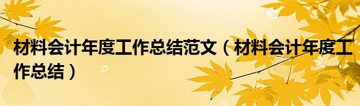 材料会计年度工作总结范文（材料会计年度工作总结）