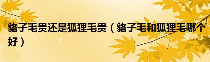 貉子毛贵还是狐狸毛贵（貉子毛和狐狸毛哪个好）