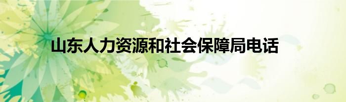 山东人力资源和社会保障局电话