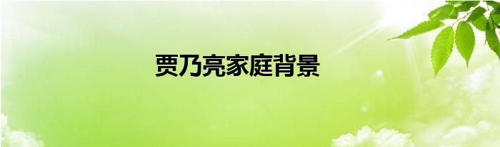 贾乃亮家庭背景