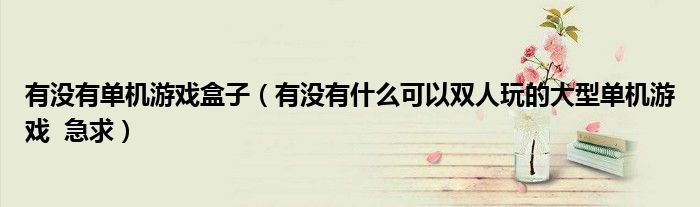 有没有单机游戏盒子（有没有什么可以双人玩的大型单机游戏  急求）