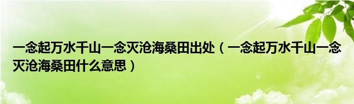一念起万水千山一念灭沧海桑田出处（一念起万水千山一念灭沧海桑田什么意思）