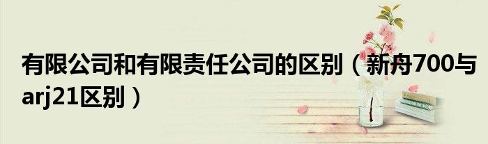 有限公司和有限责任公司的区别（新舟700与arj21区别）