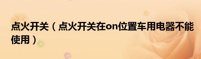 点火开关（点火开关在on位置车用电器不能使用）